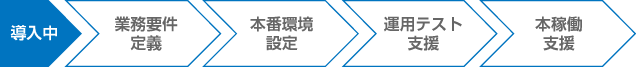 導入中 業務要件定義→本番環境設定→運用テスト支援→本稼働支援